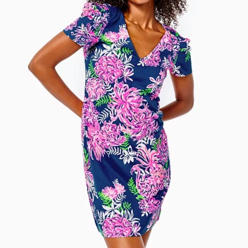 NWT Lilly Pulitzer Aleece Dress - Ruffle Your Feathers
